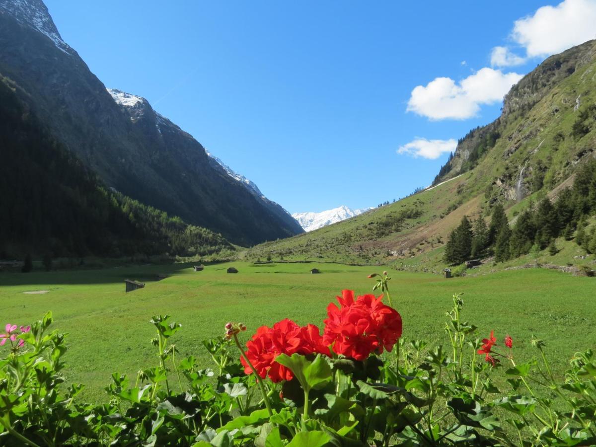 Appartamento Haus Frank Pitztal Sankt Leonhard im Pitztal Esterno foto